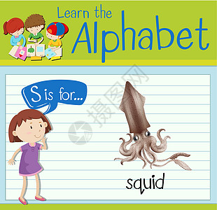 抽认卡字母 S 是给 squi演讲孩子们动物生物教育学校夹子绿色野生动物卡片图片