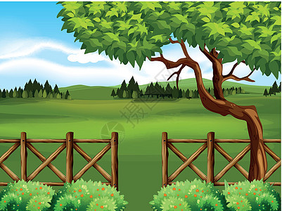 与树和领域的自然场面草地农田风景环境围栏夹子丘陵热带绿色衬套图片