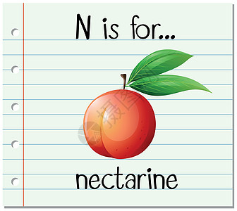 抽认卡字母 N 代表油桃拼写闪光刻字纸板夹子教育艺术插图绘画卡片图片