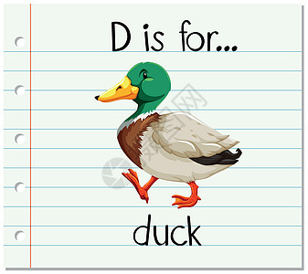 抽认卡字母 D 代表 duc动物拼写荒野翅膀教育阅读农场字体闪光鸭子图片