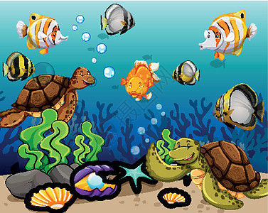 许多海洋动物在水下游泳图片