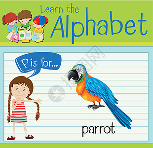 抽认卡字母 P 代表帕罗鹦鹉工作海报教育夹子绿色动物活动金刚鹦鹉生物图片