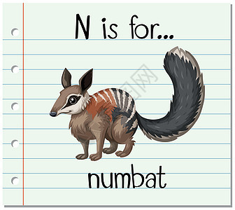 抽认卡字母 N 代表 numba生物绘画动物闪光哺乳动物字体野生动物纸板教育阅读图片