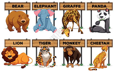 许多类型的动物与木牌图片