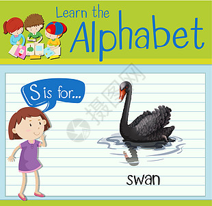 抽认卡字母 S 代表 swa海报插图羽毛动物演讲绿色小号野生动物孩子们学校图片