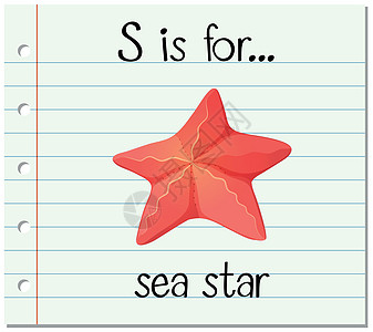 抽认卡字母 S 是给海员的绘画小号情调字体星星纸板卡片海星生物闪光图片