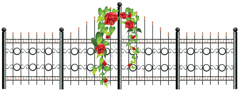 金属栅栏和玫瑰围栏夹子藤蔓植物艺术绘画园艺插图小路树叶图片