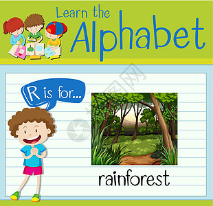 抽认卡字母 R 代表雨林学习学校艺术插图海报白色演讲卡片植物绿色图片