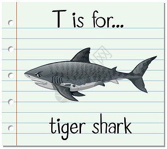 抽认卡字母 T 代表虎鲨动物刻字学习艺术夹子插图闪光鲨鱼幼儿园纸板图片