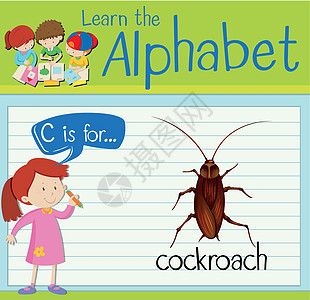 抽认卡字母 C 代表蟑螂孩子们卡片绿色漏洞插图教育夹子活动学校野生动物图片