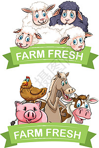 带有农场动物的标签设计图片