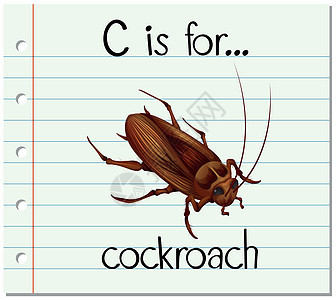 抽认卡字母 C 代表蟑螂拼写字体哺乳动物教育热带写作昆虫夹子插图漏洞图片