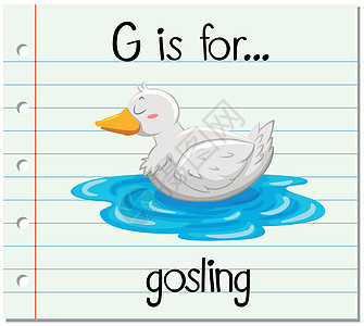 抽认卡字母 G 代表 goslin生物字体刻字拼写卡片写作插图幼儿园绘画教育图片