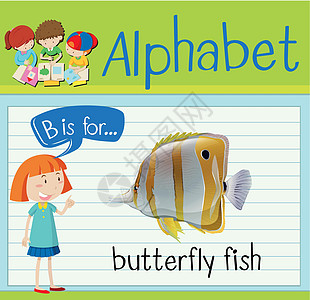 抽认卡字母 B 是蝴蝶 fis插图工作夹子演讲绘画学习哺乳动物生物孩子教育图片