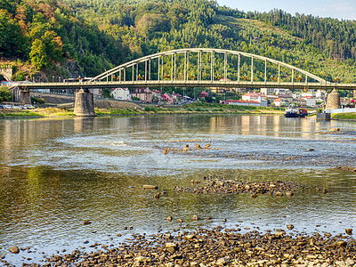 2018年夏天 在Elbe河的河床上干涸植物环境气候变化枯水吊桥河岸甲板石珊瑚地质学岩石图片