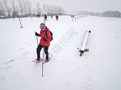 女孩在山上的雪马棚上与雪鞋一起行走电线滑雪滑雪眼镜滑雪杖背包手套国家马场荒野越野图片