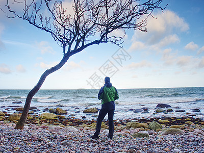 在热带沙滩上 有着石块的日落大幕照棕榈树干海景戏剧性蓝色地平线植物休息天空天际图片