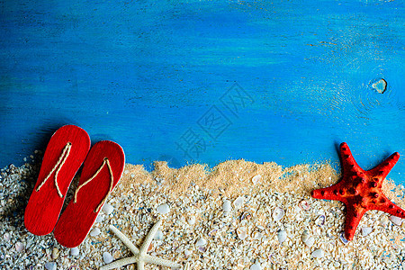 具有热带装饰品的夏季背景海洋海鱼海岸线贝壳海星蓝色背景图片