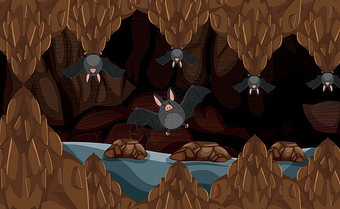有蝙蝠的地下洞穴图片