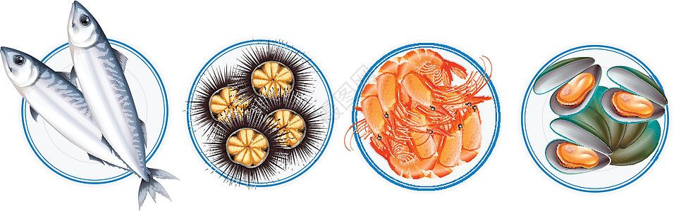不同种类的海鲜生物团体收藏动物艺术海胆食物剪裁肌肉夹子图片