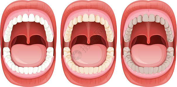 张嘴人一组人嘴解剖插画