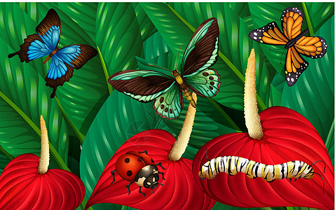 蝴蝶和其他昆虫毛虫环境风景绘画热带树叶公园艺术哺乳动物野生动物背景图片
