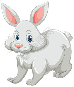 可爱的兔子与白福图片