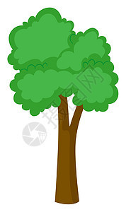 白色背景上的大树树干环境植物插图绘画艺术棕色木头叶子绿色图片