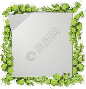 绿色自然叶框架装饰品插图装饰边界艺术叶子植物夹子绘画风格图片