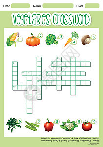 蔬菜填字游戏模板夹子创造力艺术胡椒闲暇插图英语正方形字母绘画图片