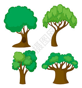 四种不同形状的树园艺艺术植物小路剪裁棕色环境收藏插图绘画图片