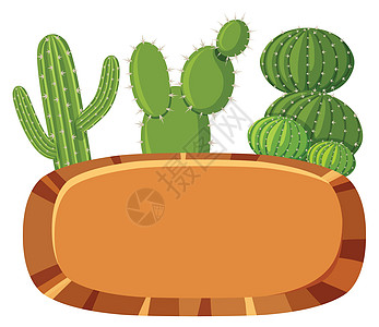 白色背景上的墨西哥仙人掌横幅背景图片