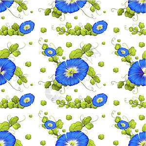 无缝背景与蓝色牵牛花花植物热带卡通片插图绿色树叶绘画夹子园艺艺术图片