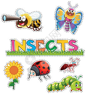 贴纸设计中的许多昆虫图片