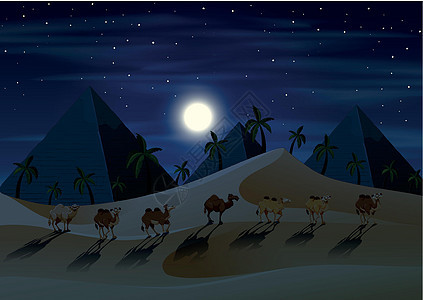 夜间沙漠中的骆驼商队图片