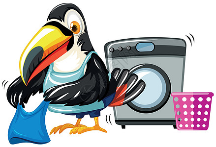 巨嘴鸟用洗衣机洗衣服图片