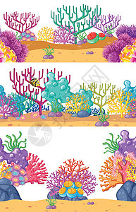 珊瑚礁的三个水下场景图片