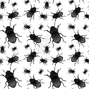 甲虫无缝模式背景图片