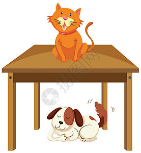 桌上猫桌下狗图片