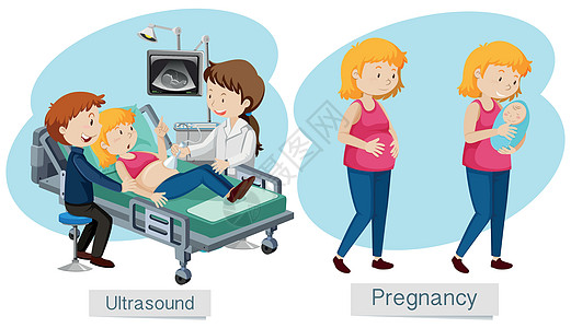 白色背景上的妊娠载体图片