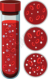 血小板载体图片