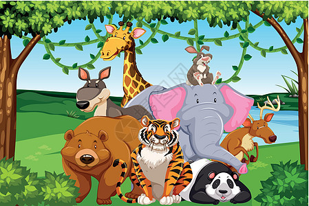 森林中的野生动物衬套绿色袋鼠熊猫木头兔子卡通片插图艺术老虎图片