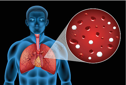 肺部放大的细胞图片