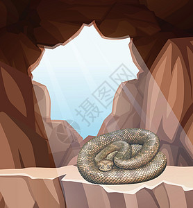 洞穴场景中的蛇图片