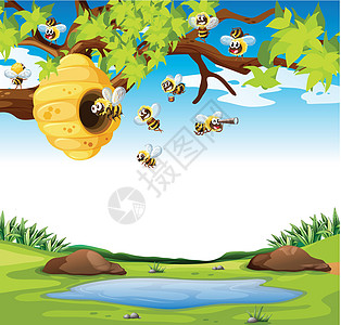 蜜蜂在园中飞舞图片