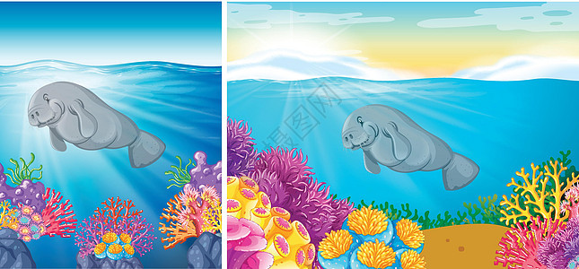 海牛在海底游泳的两个场景图片