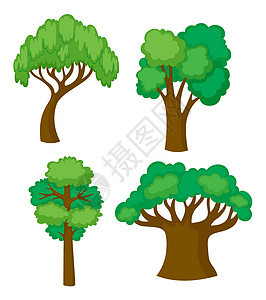 四种不同形状的树树叶园艺插图收藏绿色森林艺术夹子树干团体背景图片