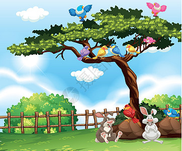 树上有鸟 草地上有兔子的背景场景图片