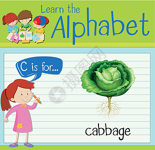 抽认卡字母 C 是卷心菜食物活动白色演讲艺术插图工作海报孩子们卡片图片