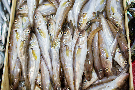 鱼市场上出售的新鲜鱼营养餐厅盐水饮食美食食物海鲜鲭鱼销售钓鱼图片